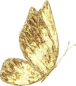 Golden Butterfly Illustration